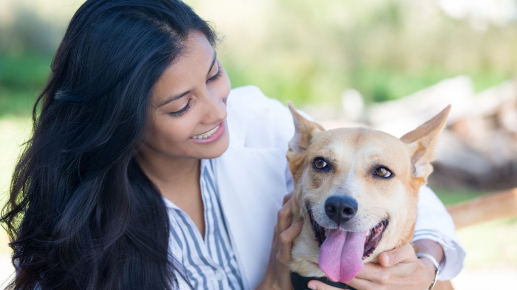 Lifestyle Experts Share 3 Tips To Take Care Of A Dog In An Adequate Way 