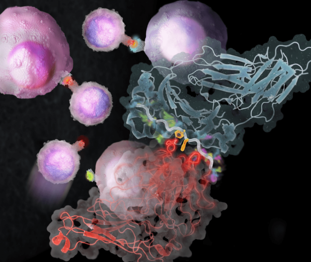 Cancer Immunotherapy: The Researchers And Pioneers | TribuneByte.com